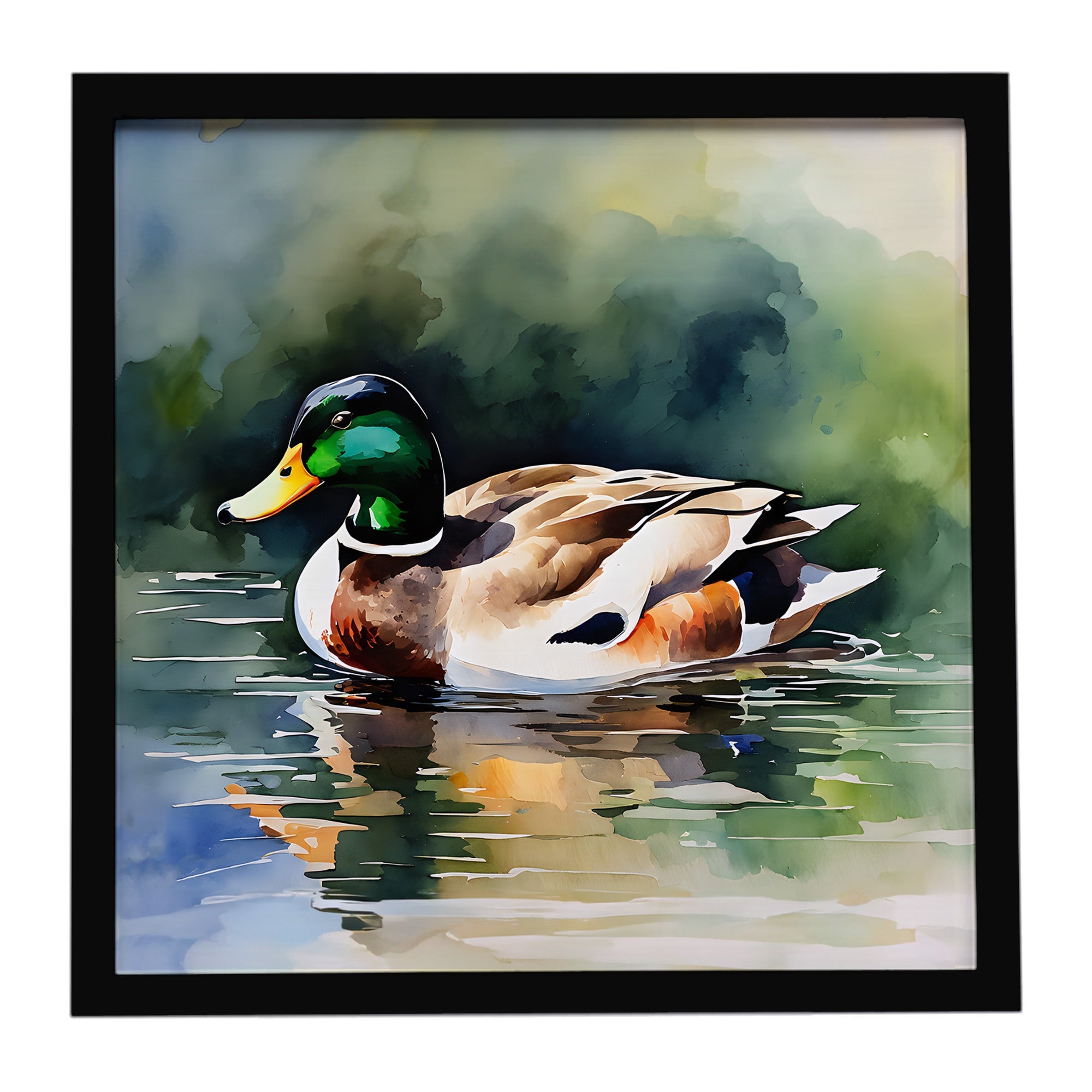 Mallard Duck Swimming Calm Water Framed Metal Print Bathroom, Kitchen, Office, Home Decor Wall Art Ready to Hang, Square, 8X8