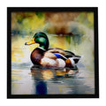 Mallard Duck Floating Pond Reflection Framed Metal Print Bathroom, Kitchen, Office, Home Decor Wall Art Ready to Hang, Square, 8X8