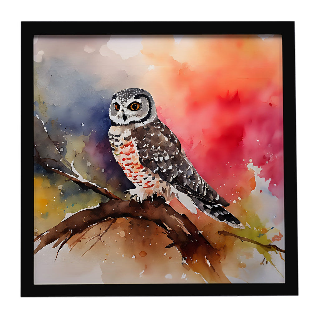 Northern Hawk Owl Perched Branch Framed Metal Print Bathroom, Kitchen, Office, Home Decor Wall Art Ready to Hang, Square, 8X8