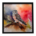 Northern Hawk Owl Perched Branch Framed Metal Print Bathroom, Kitchen, Office, Home Decor Wall Art Ready to Hang, Square, 8X8