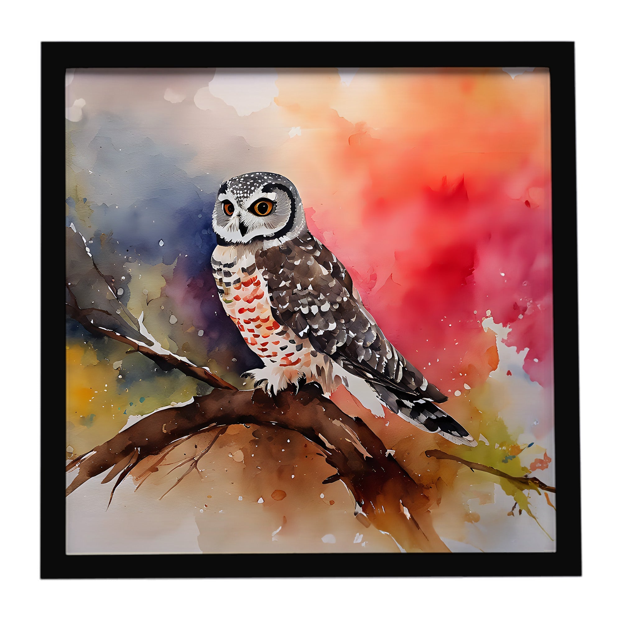 Northern Hawk Owl Perched Branch Framed Metal Print Bathroom, Kitchen, Office, Home Decor Wall Art Ready to Hang, Square, 8X8