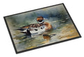 Northern Pintail Duck Swimming Doormat Indoor Outdoor 24H X 36W Front Door Mat Rugs for Entryway, Non Slip Washable Low Pile,