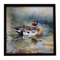 Northern Pintail Duck Swimming Framed Metal Print Bathroom, Kitchen, Office, Home Decor Wall Art Ready to Hang, Square, 8X8