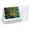 Peacock Full Feather Display Vibrant Greeting Cards Pack of 8 Blank Cards with Envelopes Whimsical A7 Size 5x7