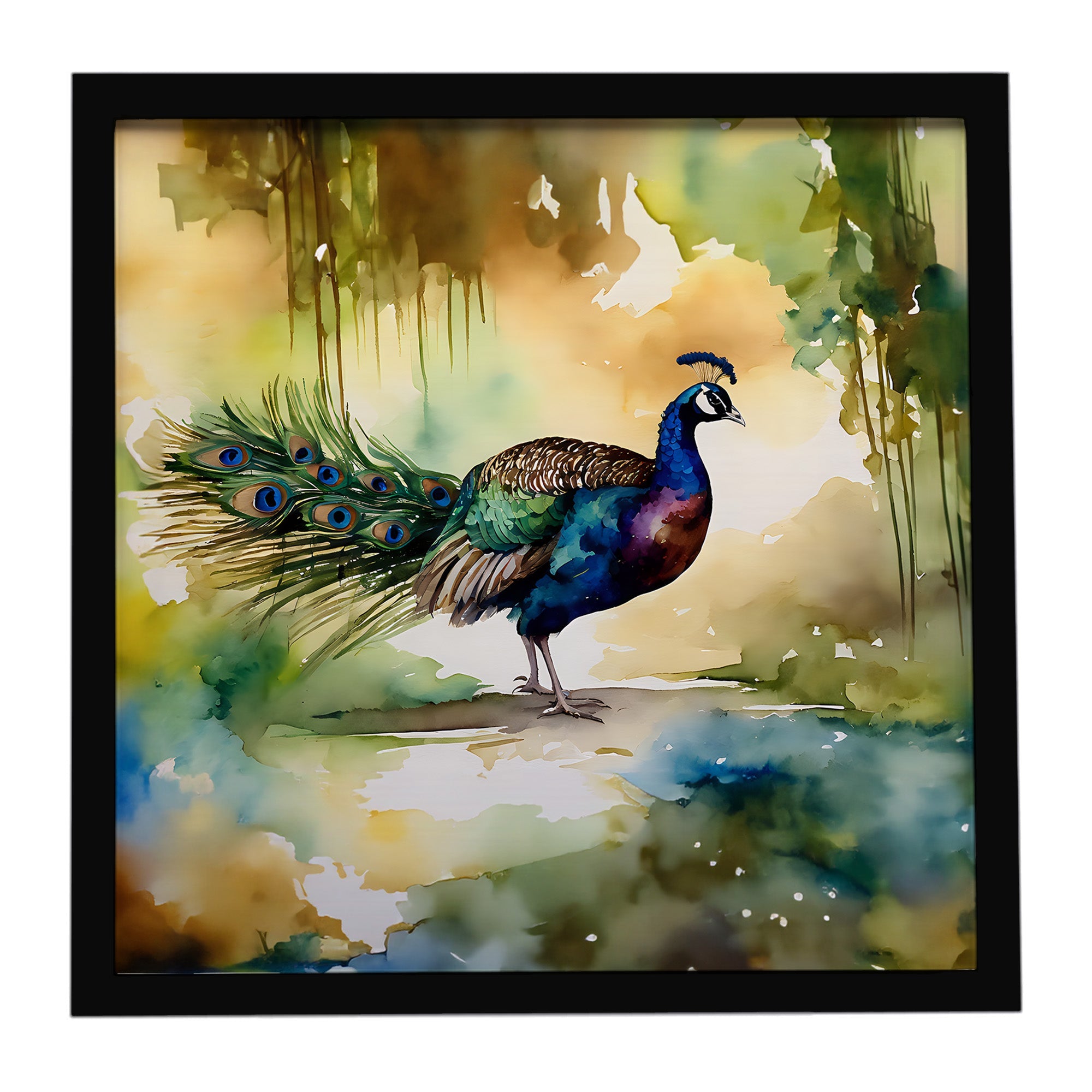 Peacock Walking Garden Scene Framed Metal Print Bathroom, Kitchen, Office, Home Decor Wall Art Ready to Hang, Square, 8X8