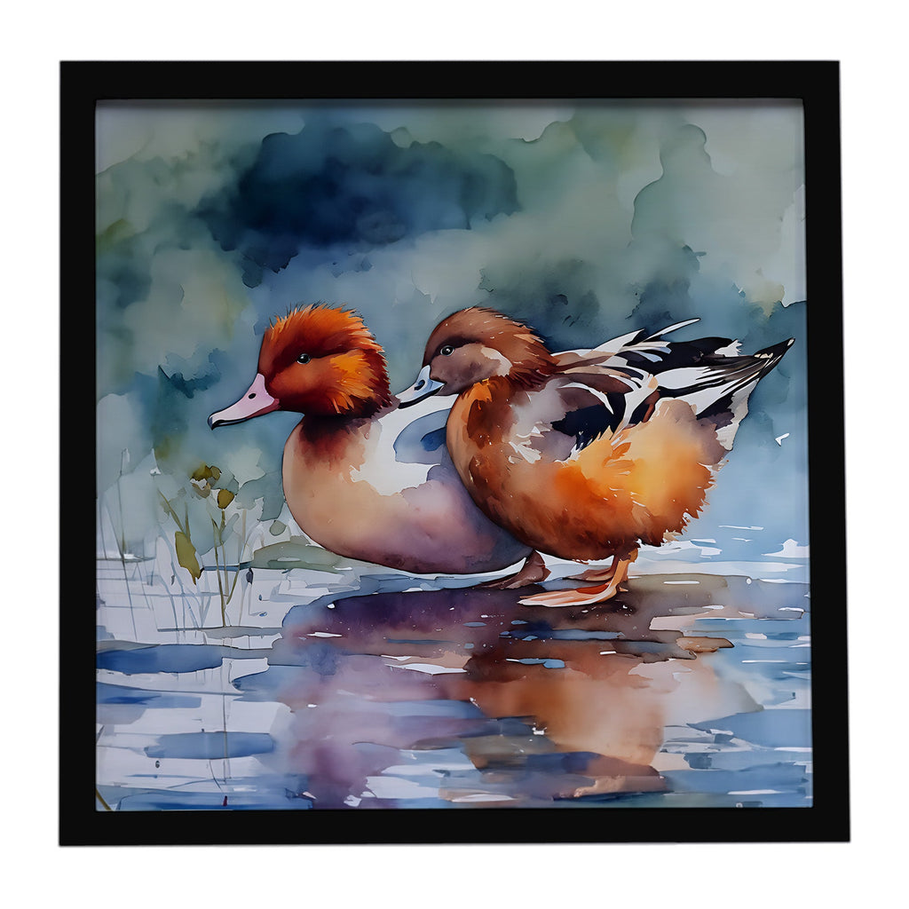Redhead Duck Pair of Ducks Swimming Framed Metal Print Bathroom, Kitchen, Office, Home Decor Wall Art Ready to Hang, Square, 8X8