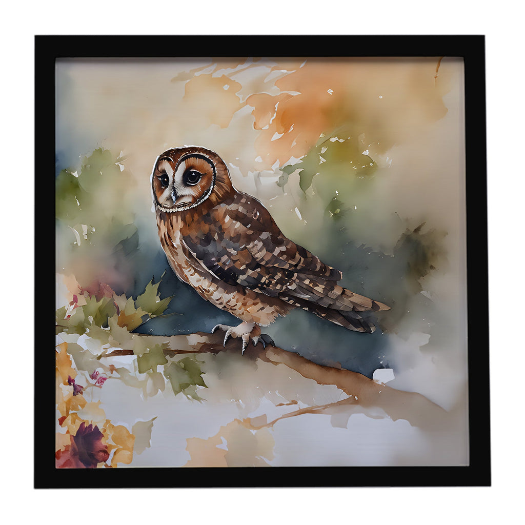 Tawny Owl Soft Background Watercolor Framed Metal Print Bathroom, Kitchen, Office, Home Decor Wall Art Ready to Hang, Square, 8X8