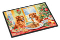 Nova Scotia Duck Toller Christmas Cookies Doormat Indoor Outdoor 24H X 36W Front Door Mat Rugs for Entryway, Non Slip Washable Low Pile,