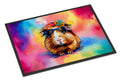 Hippie Animal Guinea Pig Doormat Indoor Outdoor 18H X 27W Front Door Mat Rugs for Entryway, Non Slip Washable