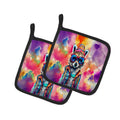 Hippie Animal Raccoon Pot Holder Set of 2 Heat Resistant Quilted Hot Pads 7.5 x 7.5 Inch, Insulated Kitchen Trivets for Cooking & Baking