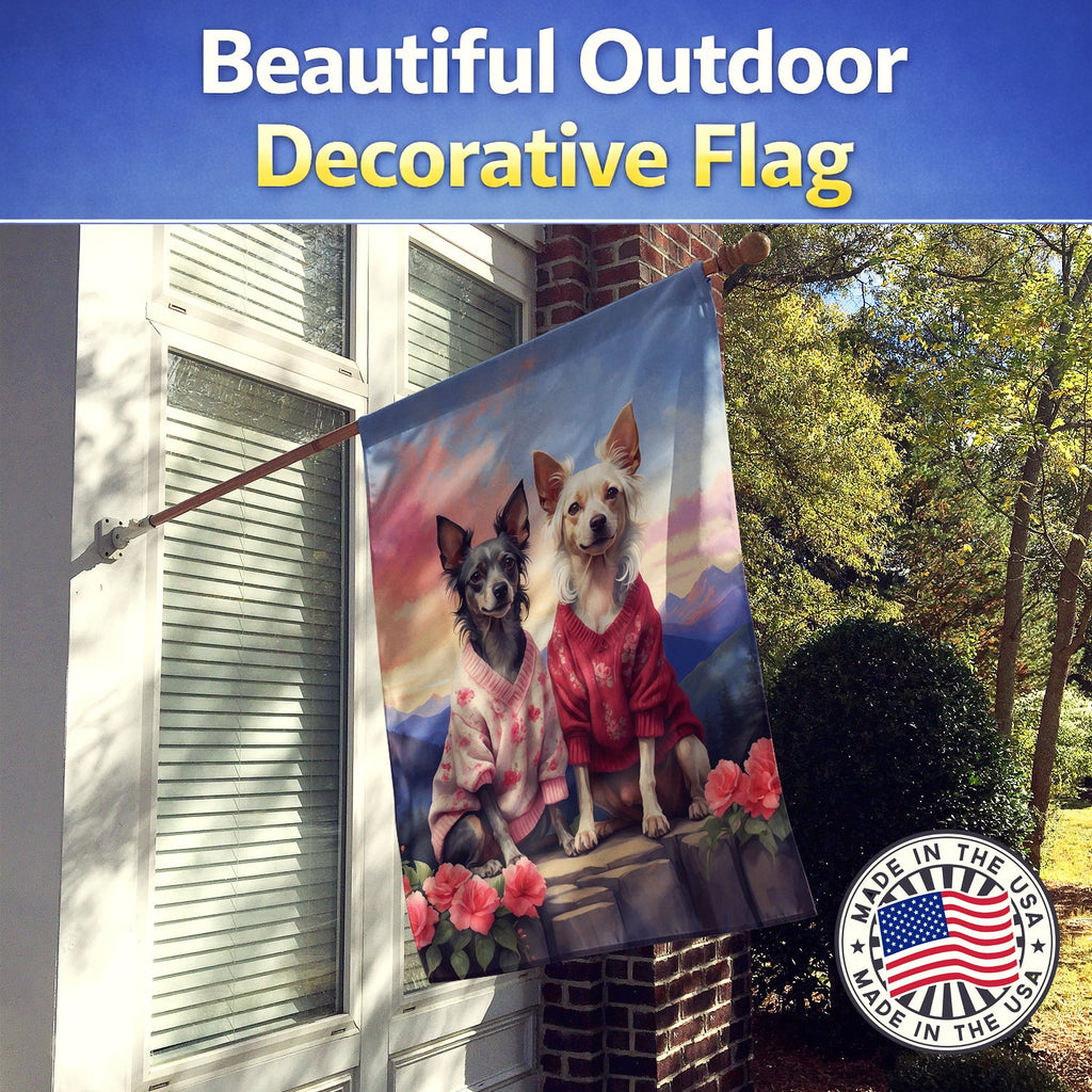 Chinese Crested Two Hearts House Flag 28x40 Porch Sleeve Pole Decorative Outside Yard Banner Artwork Wall Hanging, Polyester
