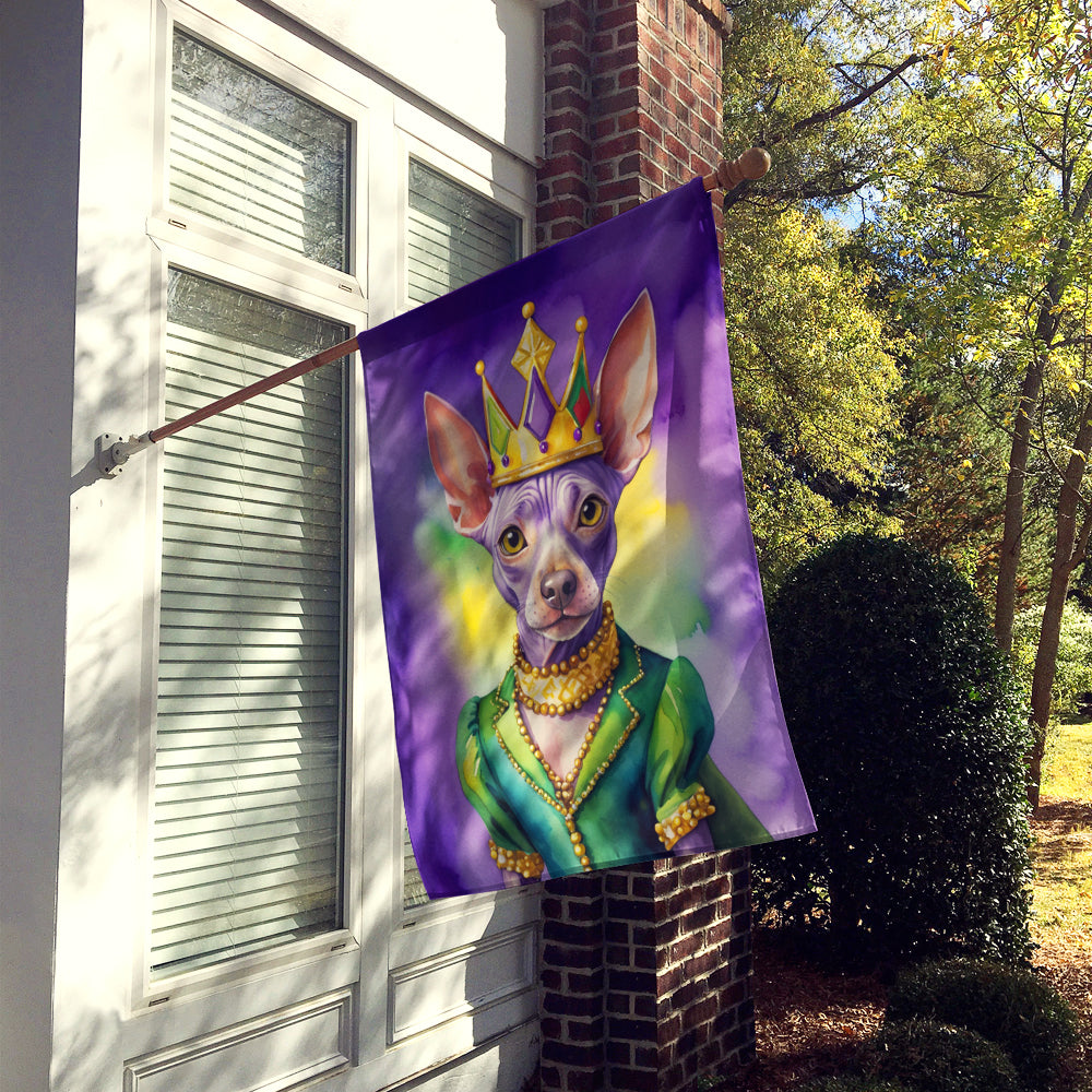 American Hairless Terrier King of Mardi Gras House Flag 28x40 Porch Sleeve Pole Decorative Outside Yard Banner Artwork Wall Hanging, Polyester
