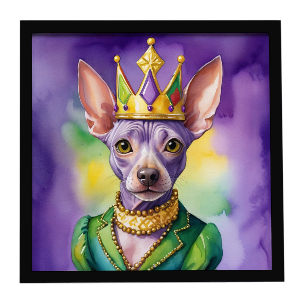 American Hairless Terrier King of Mardi Gras Framed Metal Print Bathroom, Kitchen, Office, Home Decor Wall Art Ready to Hang, Square, 8X8