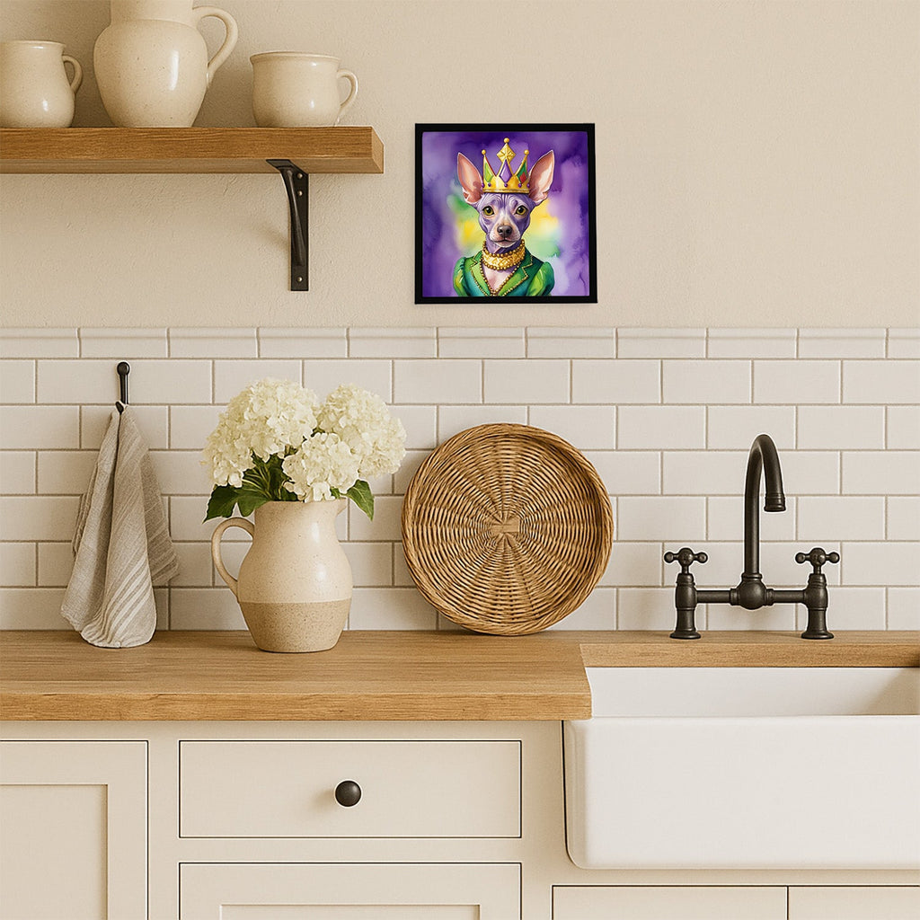 American Hairless Terrier King of Mardi Gras Framed Metal Print Bathroom, Kitchen, Office, Home Decor Wall Art Ready to Hang, Square, 8X8
