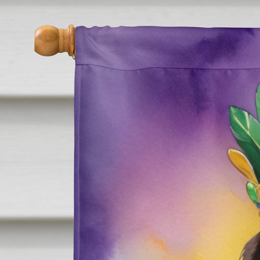 Boykin Spaniel King of Mardi Gras House Flag 28x40 Porch Sleeve Pole Decorative Outside Yard Banner Artwork Wall Hanging, Polyester