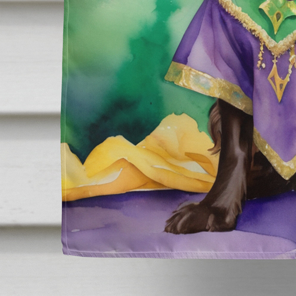 Boykin Spaniel King of Mardi Gras House Flag 28x40 Porch Sleeve Pole Decorative Outside Yard Banner Artwork Wall Hanging, Polyester