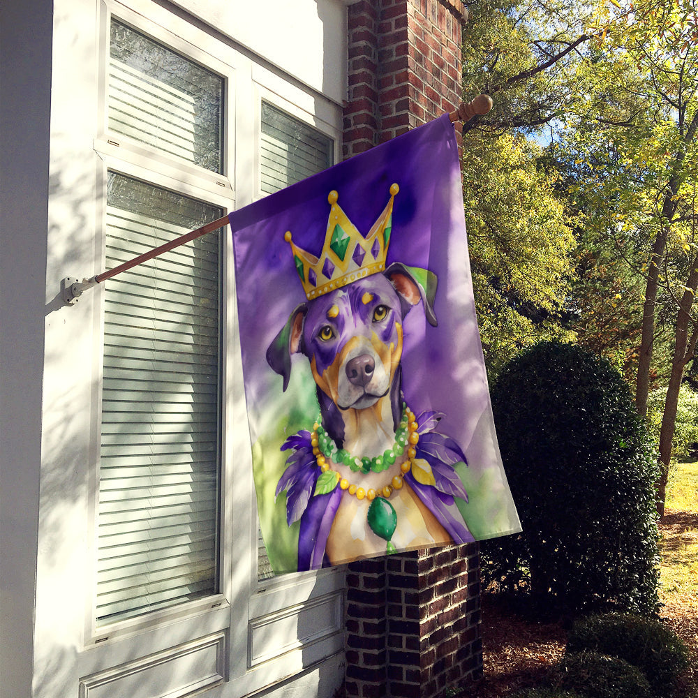 Catahoula King of Mardi Gras House Flag 28x40 Porch Sleeve Pole Decorative Outside Yard Banner Artwork Wall Hanging, Polyester