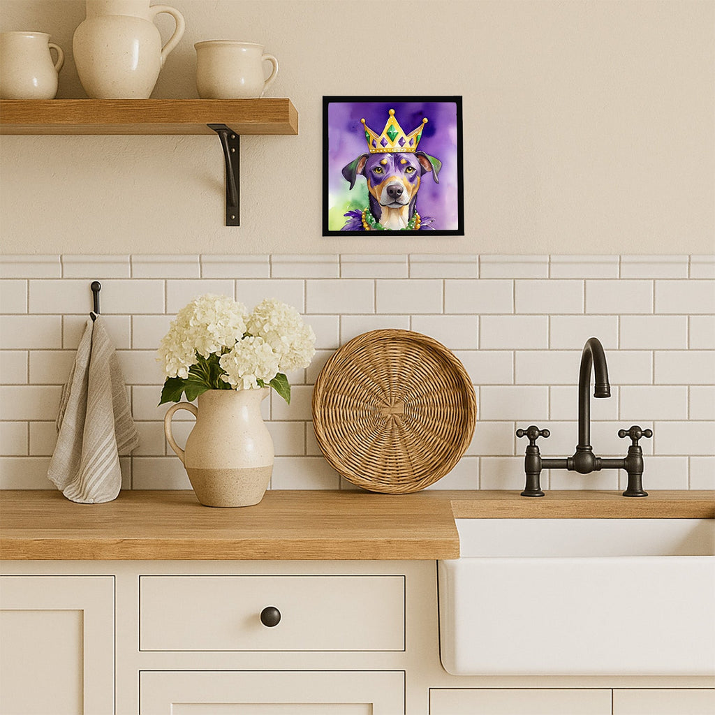 Catahoula King of Mardi Gras Framed Metal Print Bathroom, Kitchen, Office, Home Decor Wall Art Ready to Hang, Square, 8X8