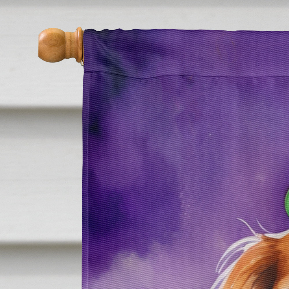 Cavalier Spaniel King of Mardi Gras House Flag 28x40 Porch Sleeve Pole Decorative Outside Yard Banner Artwork Wall Hanging, Polyester