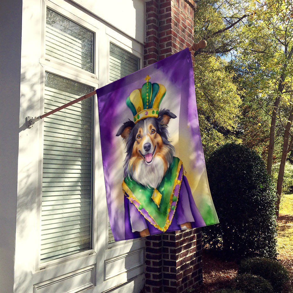 Collie King of Mardi Gras House Flag 28x40 Porch Sleeve Pole Decorative Outside Yard Banner Artwork Wall Hanging, Polyester