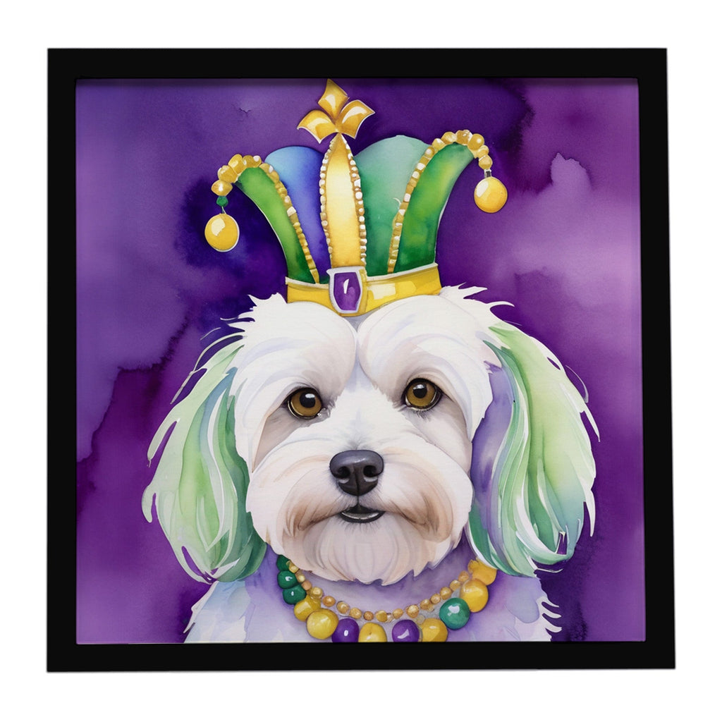 Coton de Tulear King of Mardi Gras Framed Metal Print Bathroom, Kitchen, Office, Home Decor Wall Art Ready to Hang, Square, 8X8