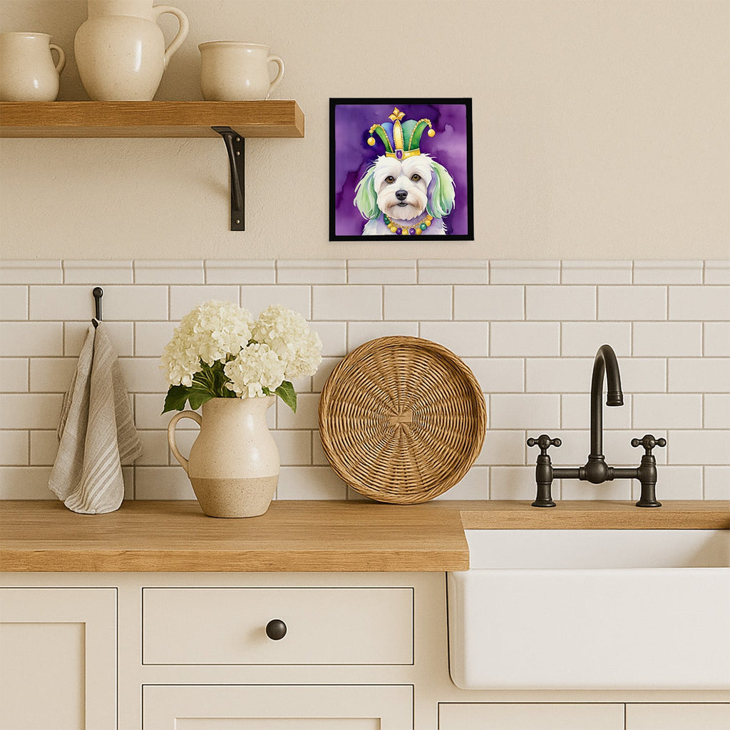 Coton de Tulear King of Mardi Gras Framed Metal Print Bathroom, Kitchen, Office, Home Decor Wall Art Ready to Hang, Square, 8X8