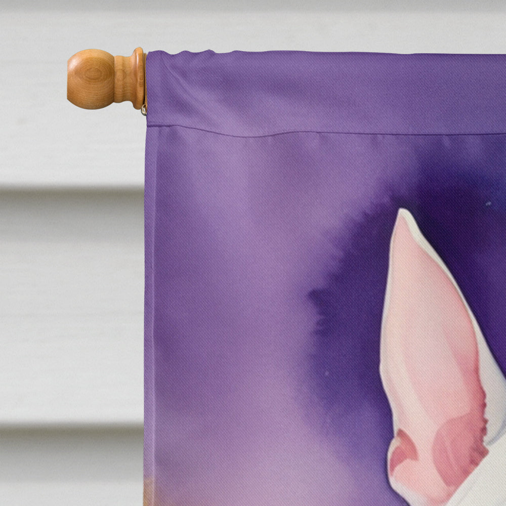 English Bull Terrier King of Mardi Gras House Flag 28x40 Porch Sleeve Pole Decorative Outside Yard Banner Artwork Wall Hanging, Polyester