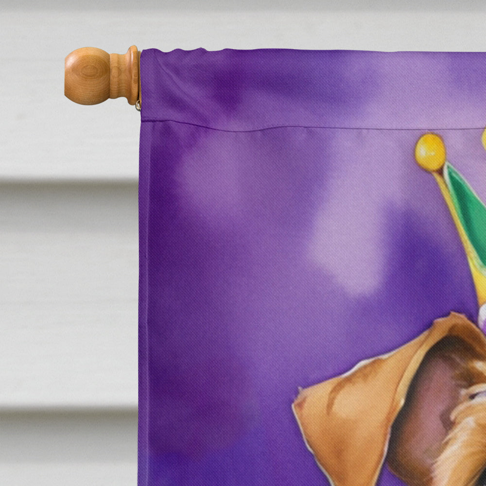 Irish Terrier King of Mardi Gras House Flag 28x40 Porch Sleeve Pole Decorative Outside Yard Banner Artwork Wall Hanging, Polyester