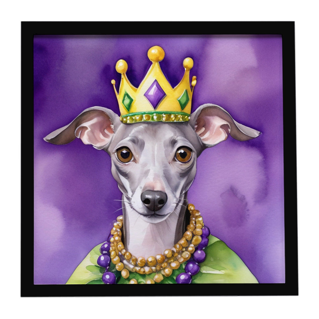 Italian Greyhound King of Mardi Gras Framed Metal Print Bathroom, Kitchen, Office, Home Decor Wall Art Ready to Hang, Square, 8X8