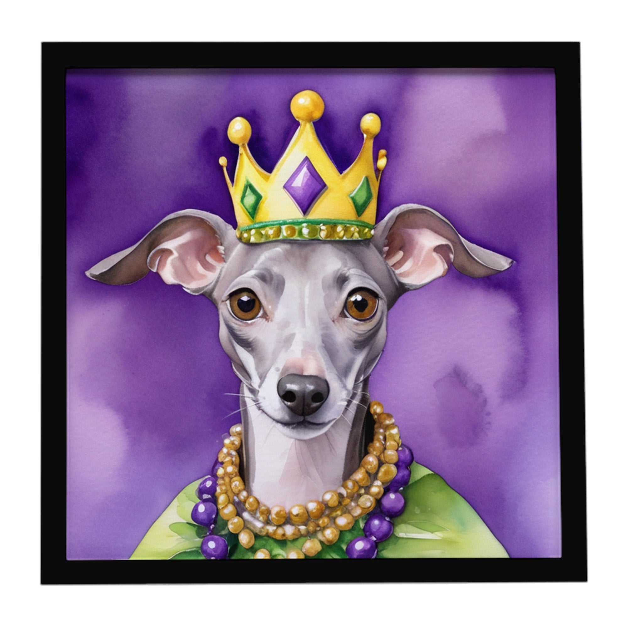 Italian Greyhound King of Mardi Gras Framed Metal Print Bathroom, Kitchen, Office, Home Decor Wall Art Ready to Hang, Square, 8X8