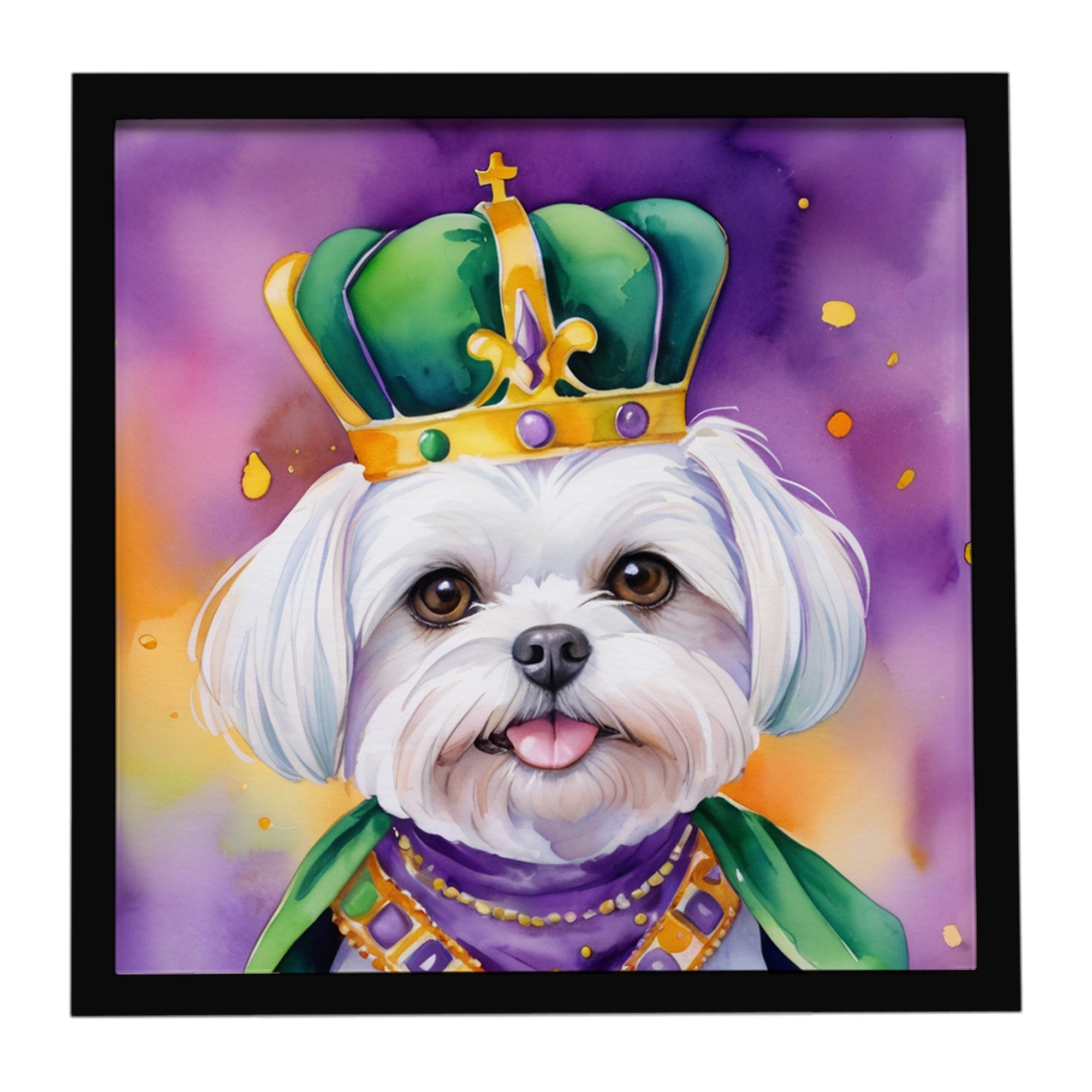 Maltese King of Mardi Gras Framed Metal Print Bathroom, Kitchen, Office, Home Decor Wall Art Ready to Hang, Square, 8X8