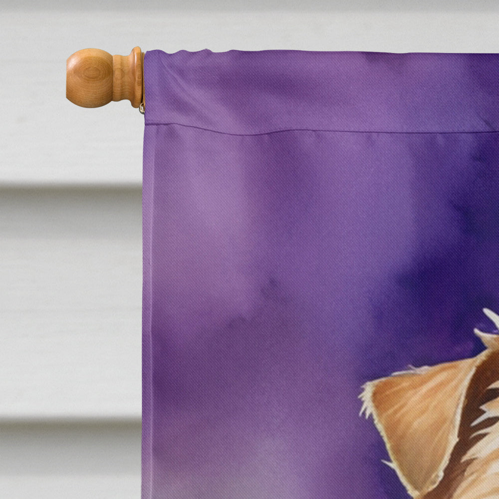 Norfolk Terrier King of Mardi Gras House Flag 28x40 Porch Sleeve Pole Decorative Outside Yard Banner Artwork Wall Hanging, Polyester