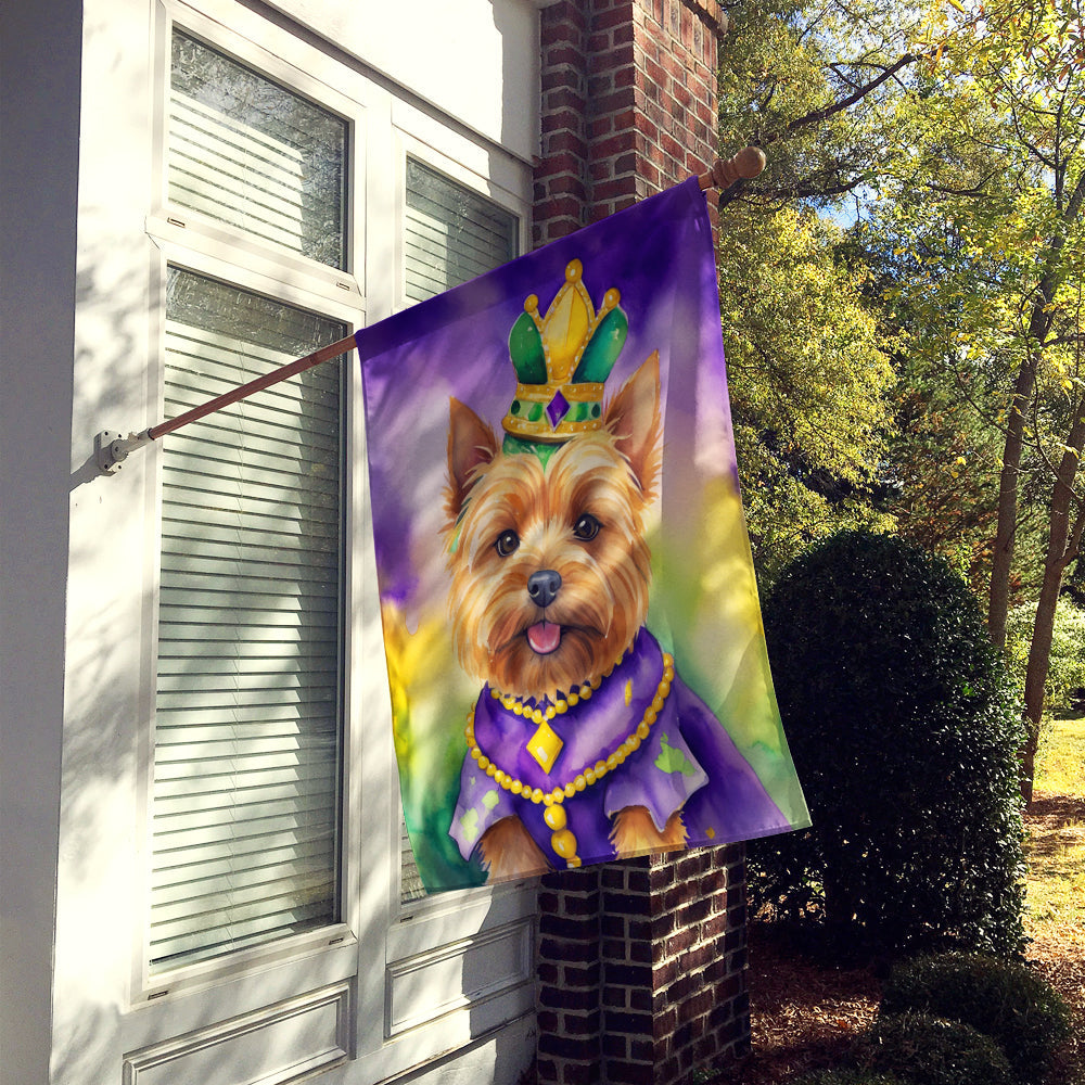 Norwich Terrier King of Mardi Gras House Flag 28x40 Porch Sleeve Pole Decorative Outside Yard Banner Artwork Wall Hanging, Polyester