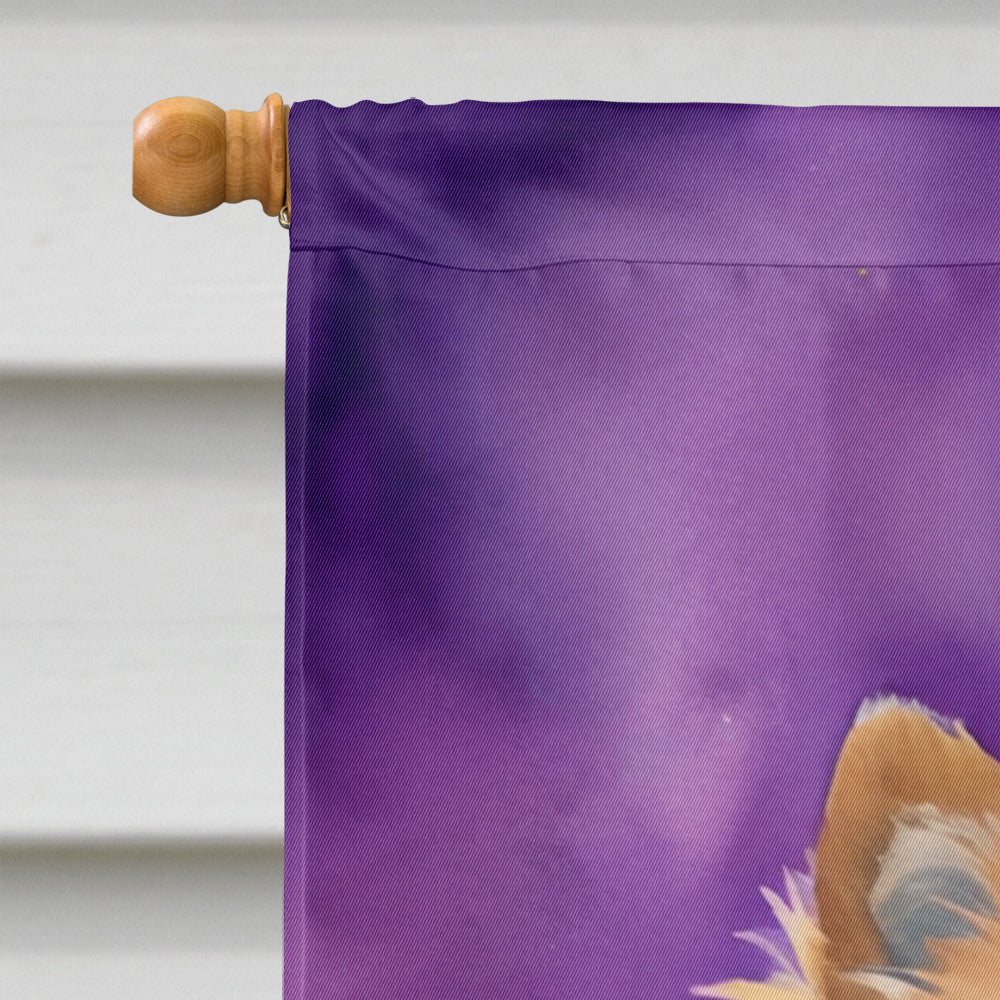 Pomeranian King of Mardi Gras House Flag 28x40 Porch Sleeve Pole Decorative Outside Yard Banner Artwork Wall Hanging, Polyester