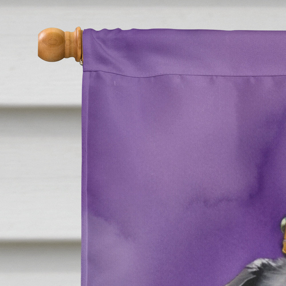 Black Pug King of Mardi Gras House Flag 28x40 Porch Sleeve Pole Decorative Outside Yard Banner Artwork Wall Hanging, Polyester