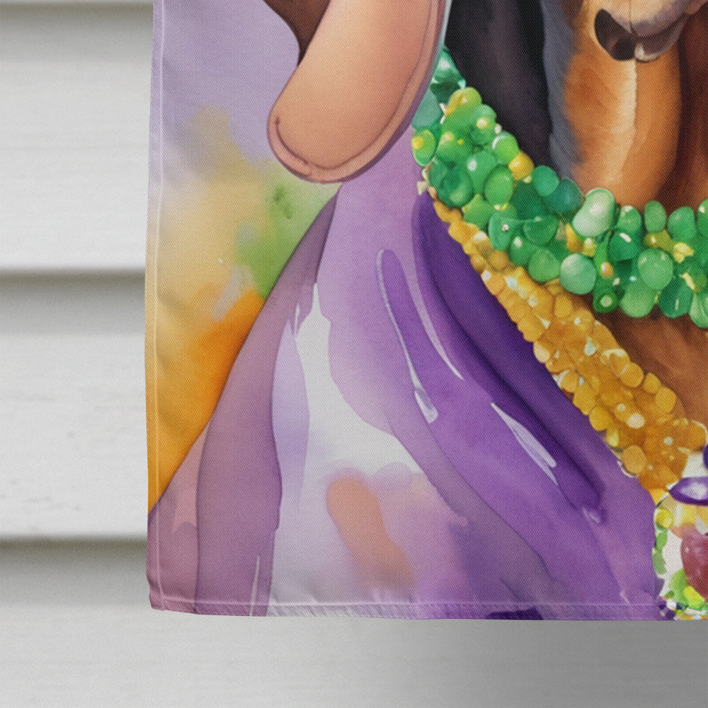 Redbone Coonhound King of Mardi Gras House Flag 28x40 Porch Sleeve Pole Decorative Outside Yard Banner Artwork Wall Hanging, Polyester