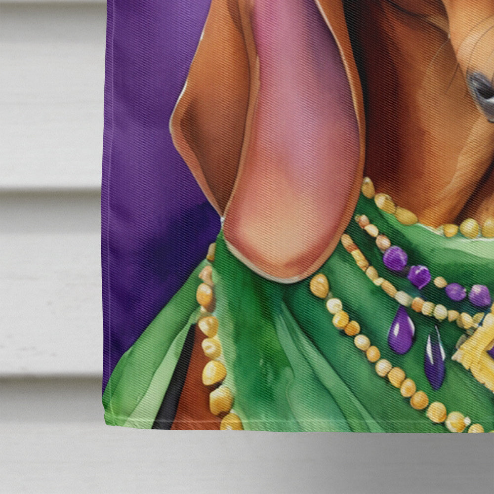 Redbone Coonhound King of Mardi Gras House Flag 28x40 Porch Sleeve Pole Decorative Outside Yard Banner Artwork Wall Hanging, Polyester