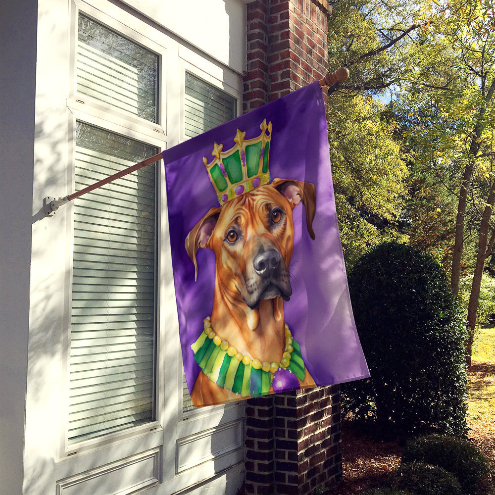 Rhodesian Ridgeback King of Mardi Gras House Flag 28x40 Porch Sleeve Pole Decorative Outside Yard Banner Artwork Wall Hanging, Polyester