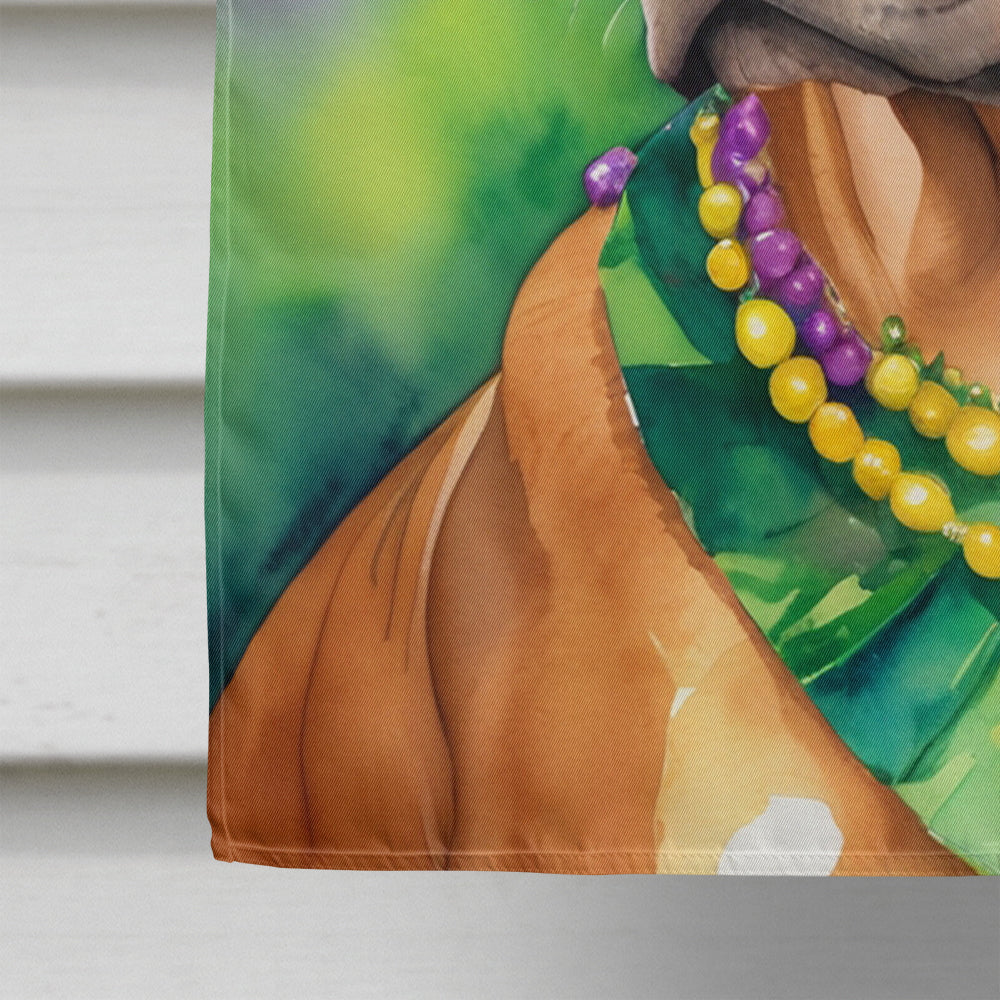 Rhodesian Ridgeback King of Mardi Gras House Flag 28x40 Porch Sleeve Pole Decorative Outside Yard Banner Artwork Wall Hanging, Polyester