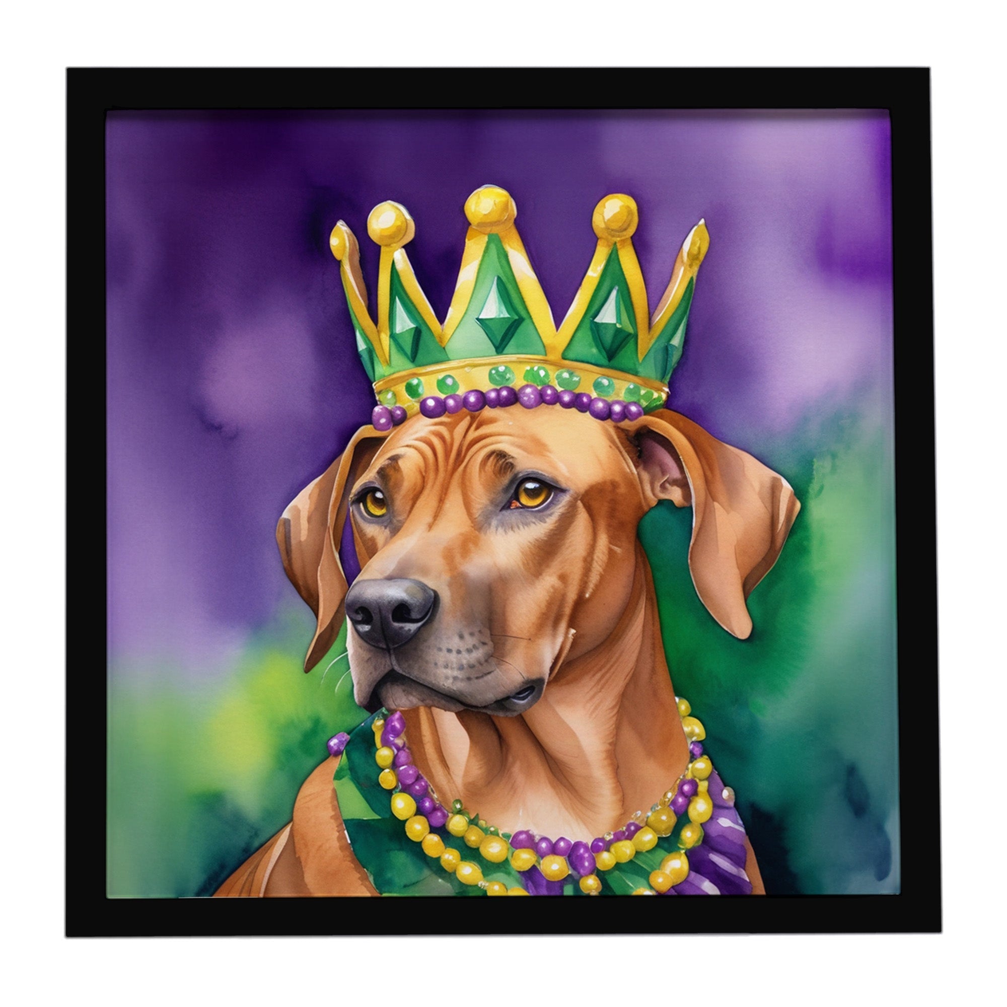 Rhodesian Ridgeback King of Mardi Gras Framed Metal Print Bathroom, Kitchen, Office, Home Decor Wall Art Ready to Hang, Square, 8X8