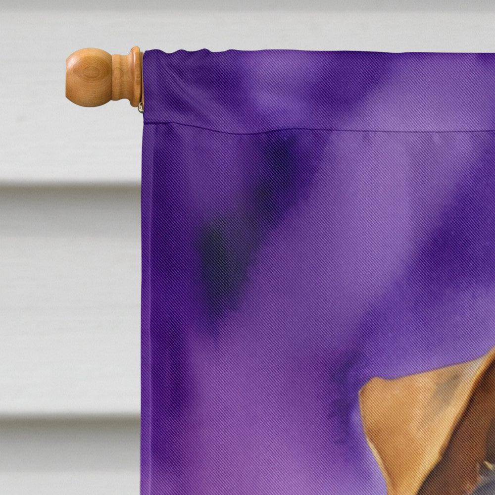 Welsh Terrier King of Mardi Gras House Flag 28x40 Porch Sleeve Pole Decorative Outside Yard Banner Artwork Wall Hanging, Polyester
