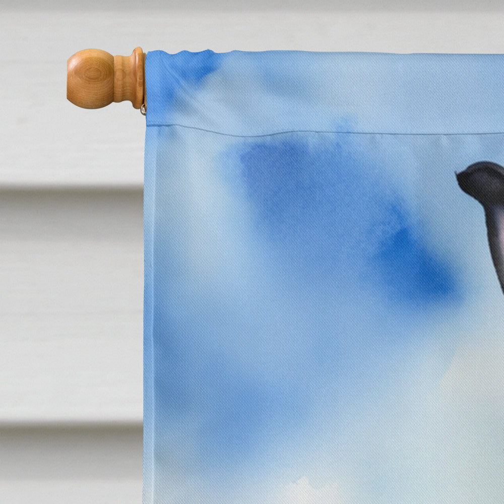 Borzoi Easter Egg Hunt House Flag 28x40 Porch Sleeve Pole Decorative Outside Yard Banner Artwork Wall Hanging, Polyester