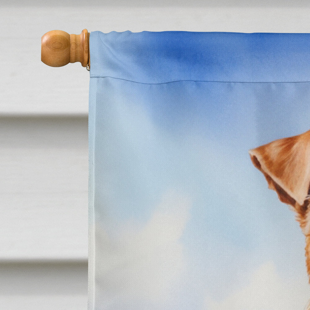 Irish Terrier Easter Egg Hunt House Flag 28x40 Porch Sleeve Pole Decorative Outside Yard Banner Artwork Wall Hanging, Polyester