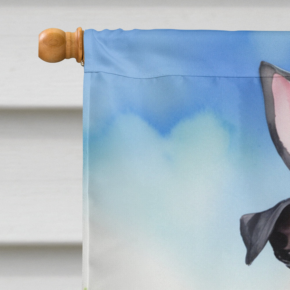Schnauzer Easter Egg Hunt House Flag 28x40 Porch Sleeve Pole Decorative Outside Yard Banner Artwork Wall Hanging, Polyester
