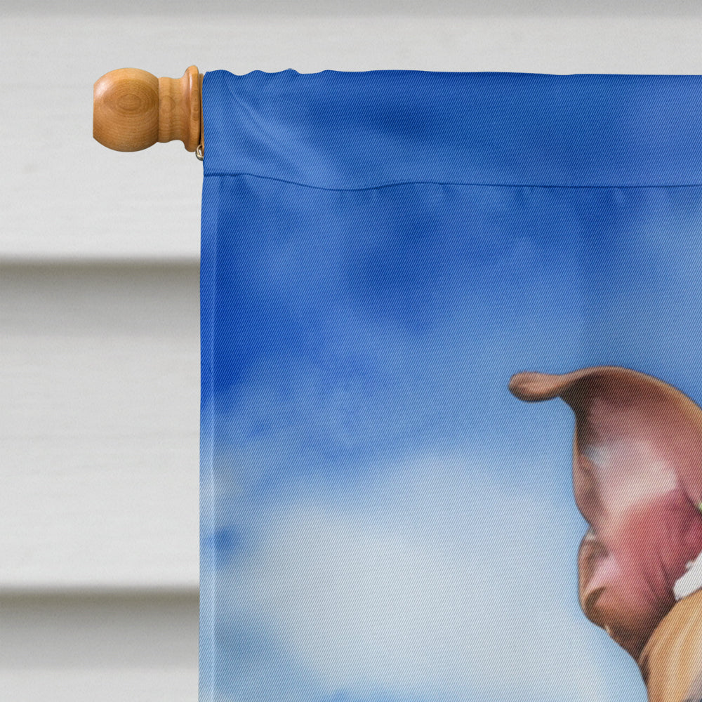 Staffordshire Bull Terrier Easter Egg Hunt House Flag 28x40 Porch Sleeve Pole Decorative Outside Yard Banner Artwork Wall Hanging, Polyester
