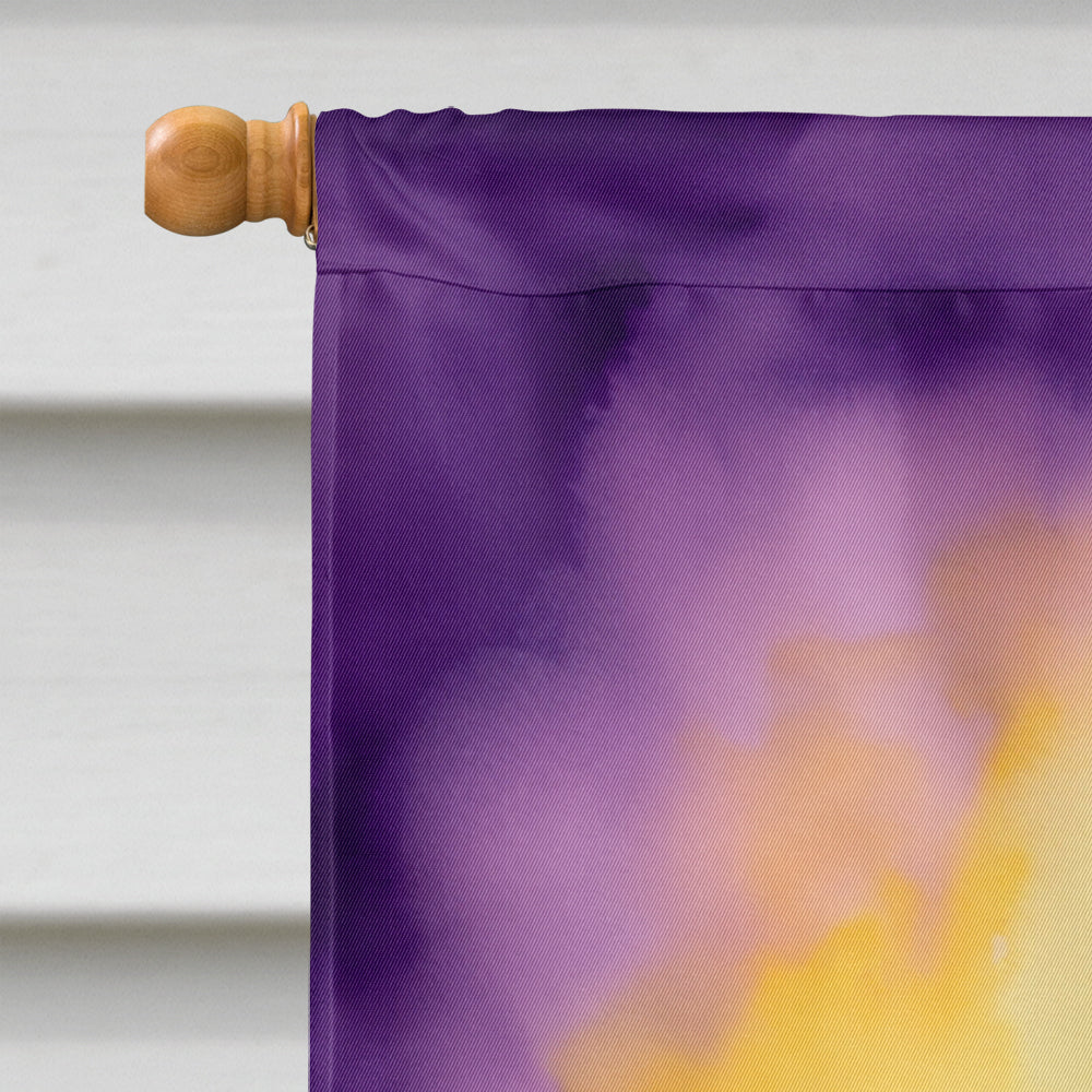 Pelican Mardi Gras House Flag 28x40 Porch Sleeve Pole Decorative Outside Yard Banner Artwork Wall Hanging, Polyester