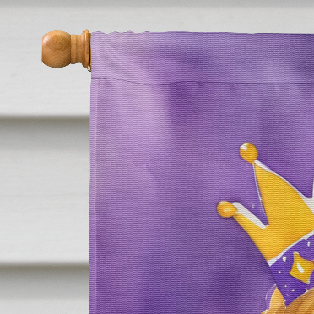 Queen of Mardi Gras House Flag 28x40 Porch Sleeve Pole Decorative Outside Yard Banner Artwork Wall Hanging, Polyester