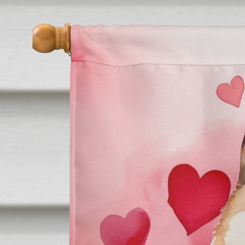 Akita My Valentine House Flag 28x40 Porch Sleeve Pole Decorative Outside Yard Banner Artwork Wall Hanging, Polyester
