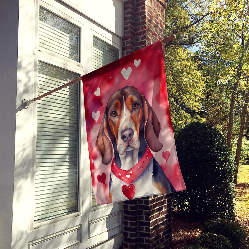 American English Coonhound My Valentine House Flag 28x40 Porch Sleeve Pole Decorative Outside Yard Banner Artwork Wall Hanging, Polyester