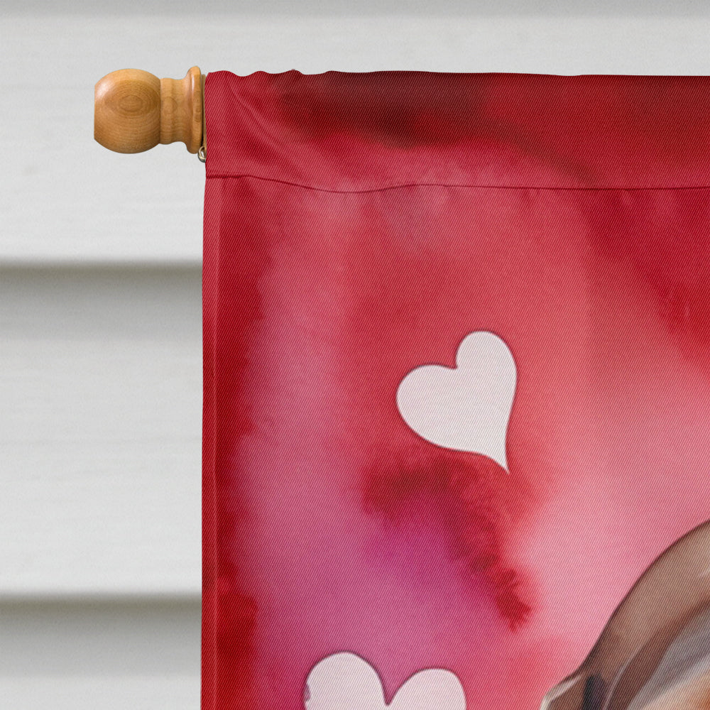 American English Coonhound My Valentine House Flag 28x40 Porch Sleeve Pole Decorative Outside Yard Banner Artwork Wall Hanging, Polyester